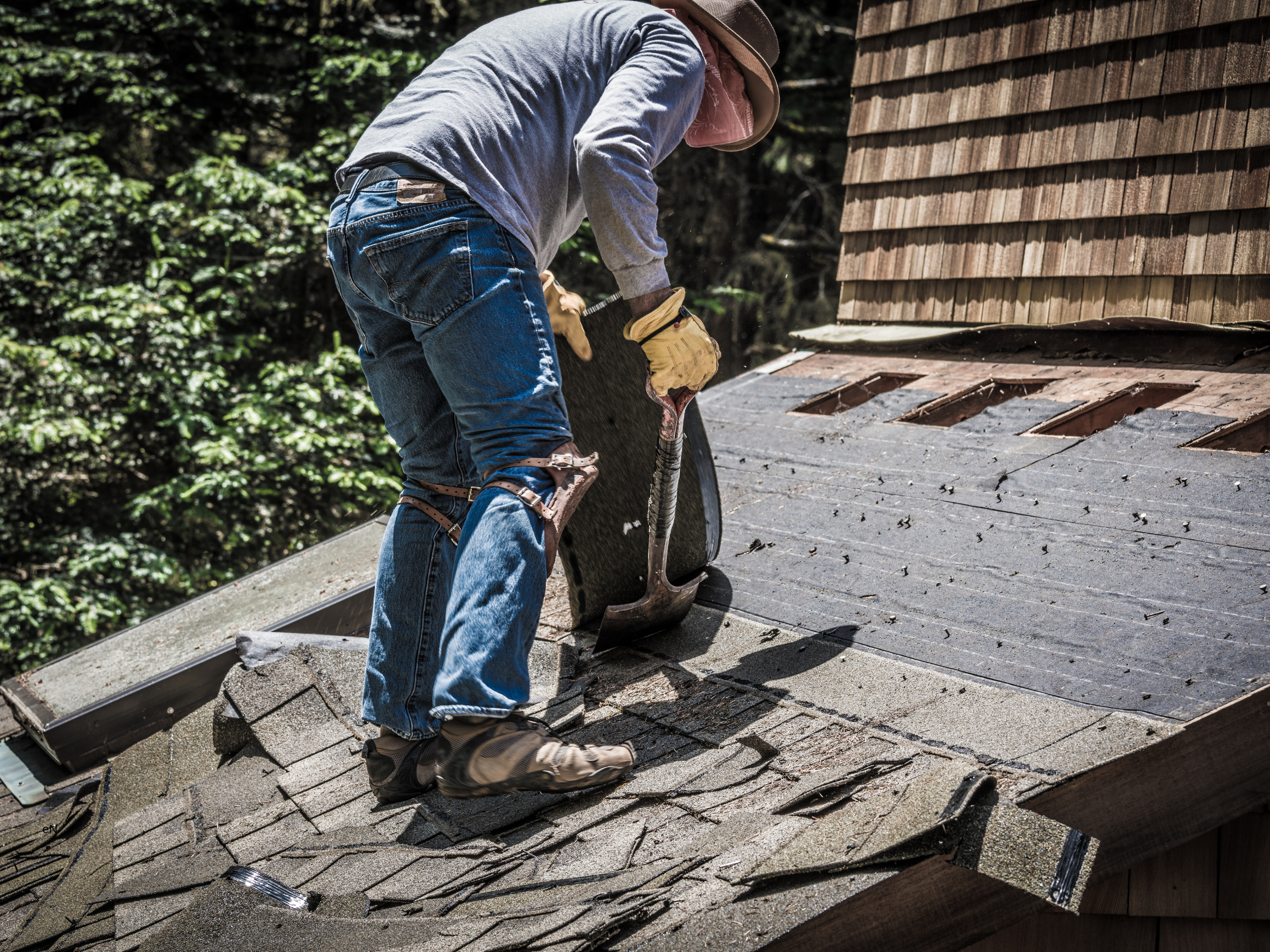 Re-roof project in progress